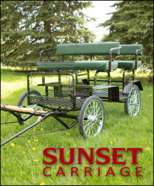 Mini Cart - Sunset Carriage