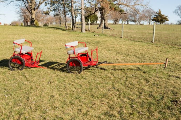 Fore Cart with Team Pole & Steel Wheel Upgrade & Second Cart for Tow Behind.