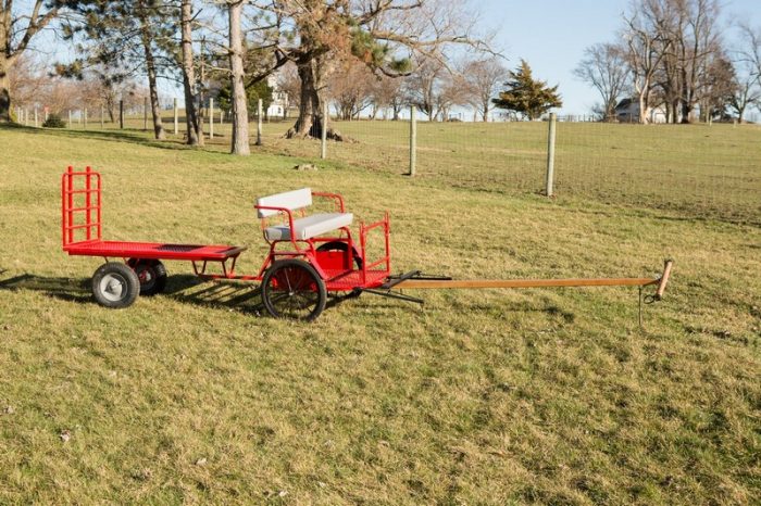 Fore Cart with Steel Wheel Upgrade & Rack Wagon